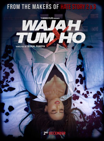 دانلود فیلم هندی 2016 Wajah Tum Ho با زیرنویس فارسی